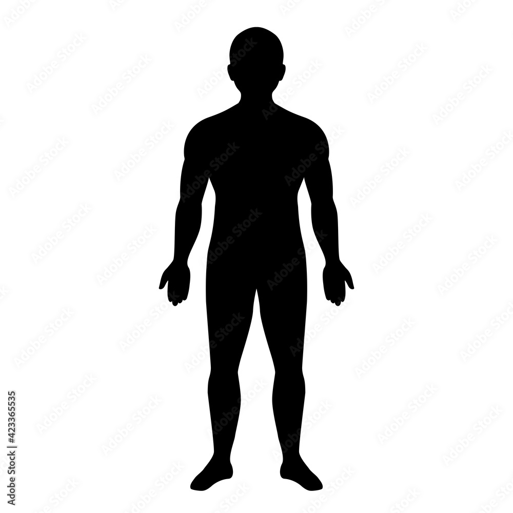 Human body silhouette, vector illustration