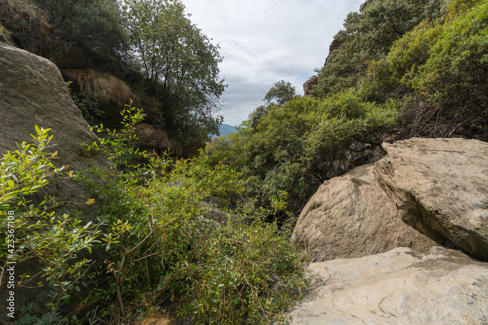 steep ravine in Sierra Nevada