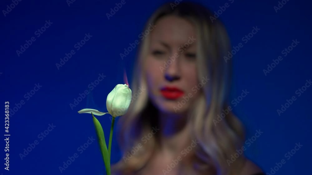 Out of focus young beautiful blonde woman with luscious red lips holding a burning white tulip flower near her face as a petal starts to fall on a vivid dark blue background - 4K Out of focus young beautiful blonde woman with luscious red lips holding a burning white tulip flower near her face as a petal starts to fall on a vivid dark blue background - 4K