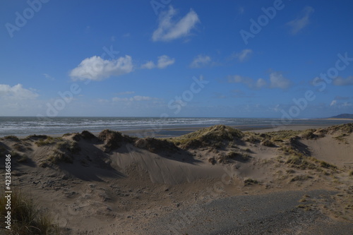 Fototapeta Naklejka Na Ścianę i Meble -  the sand dunes of ynyslas beach with the sky clear and blue