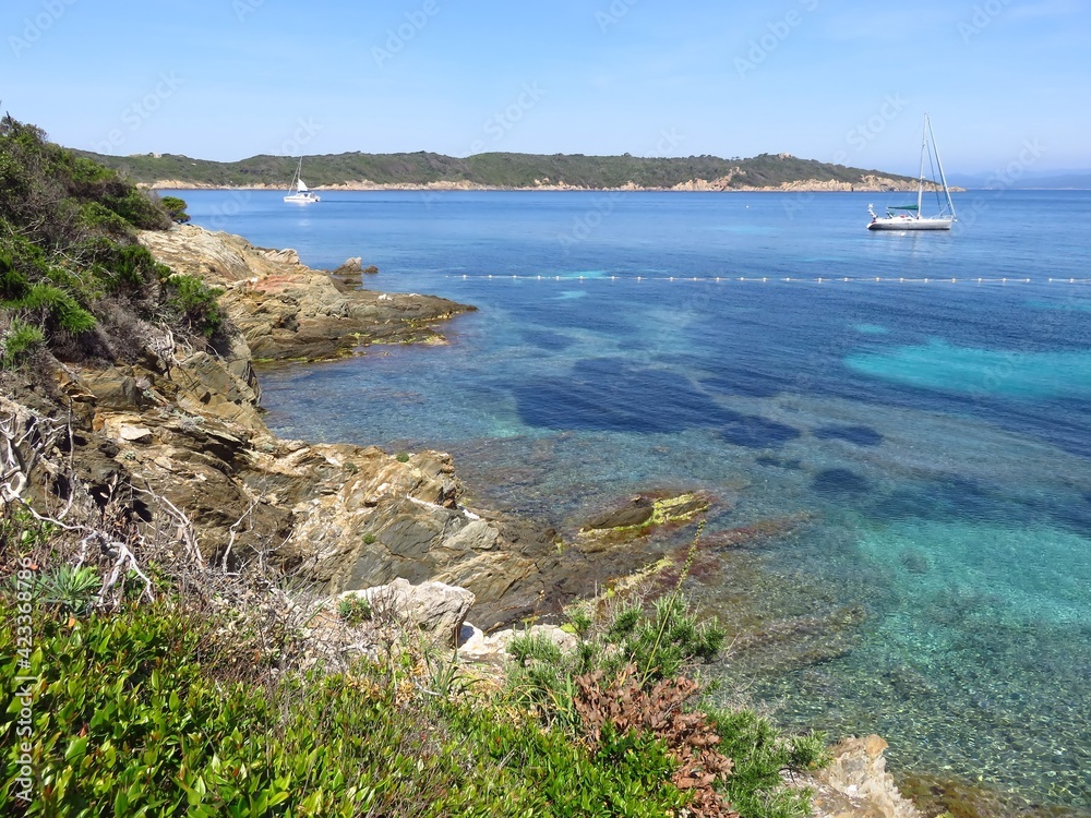 Île de Port-Cros, anse de la Fausse-Monnaie, au large de la ville d’Hyères, paysage de côte au bord de la mer Méditerranée bleu turquoise translucide (France)