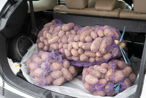 loaded car carries on the trunk bags of potatoes. trunk of a car filled with potatoes. toned