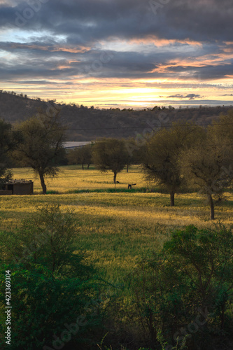 sunrise over the field green valley in jaipur