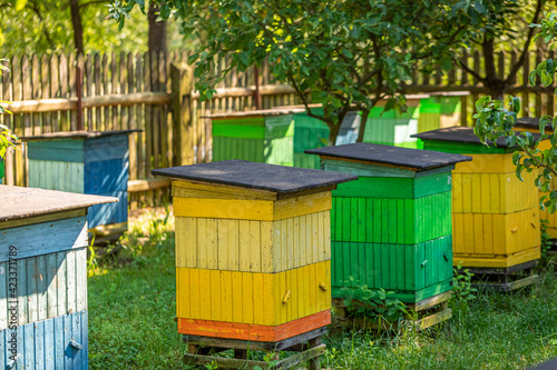 Cool beehives in a small village. Natural and ecological beekeeping.