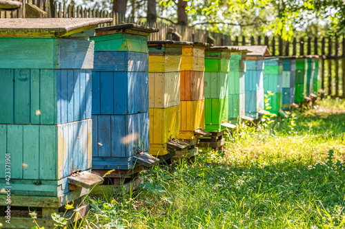 Vintage beehives in the fruit orchard. Natural and ecological beekeeping.