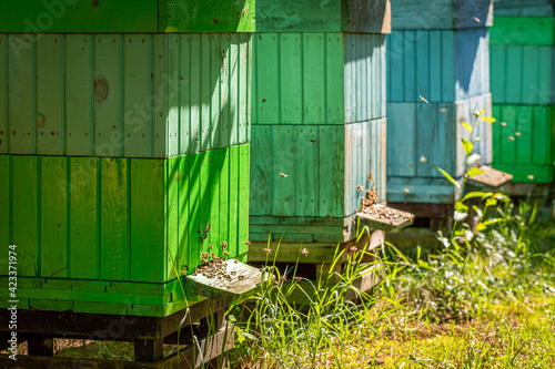 Unique beehives in a small village. Natural and ecological beekeeping.