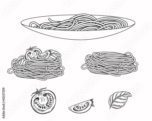 Hand drawn sketch black and white of pasta, spaghetti, tomato, basil. Vector illustration. Elements in graphic style label, sticker, menu, package. Engraved style illustration