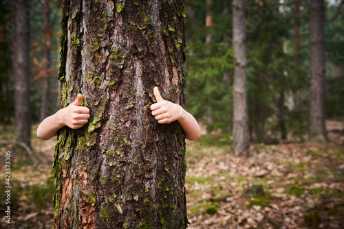 Child girl stand behind and give hug to tree in forest. Concept of global problem of carbon dioxide and global warming. Love of nature. Hands around the trunk of a tree. 