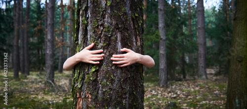 Child girl stand behind and give hug to tree in forest. Concept of global problem of carbon dioxide and global warming. Love of nature. Hands around the trunk of a tree.
