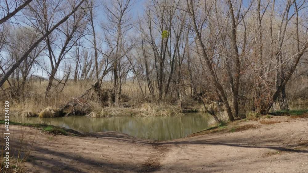 Approaching River Bank. Point of View Smooth Gimbal Shot Approaching River Bank. Point of View Smooth Gimbal Shot