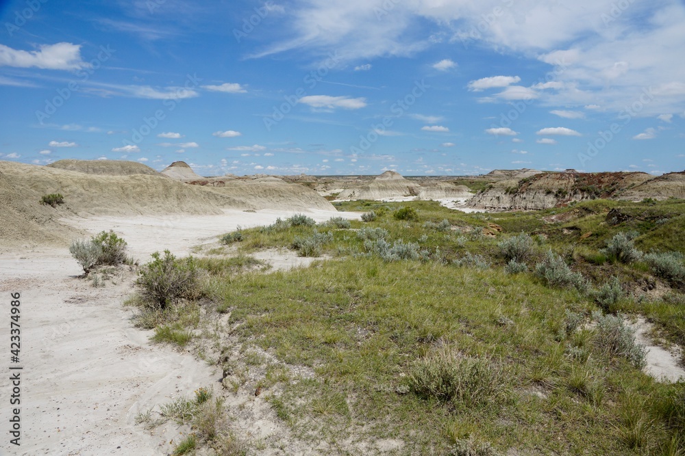 Dinosaur Provincial Park in Alberta Canada