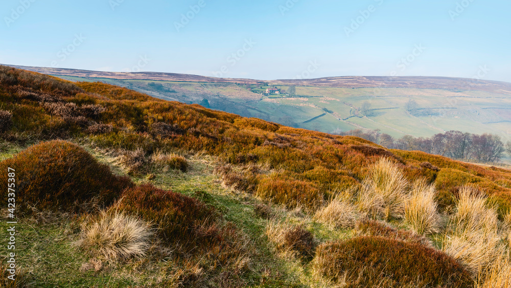 The North York Moors at sunset over a valley, Yorkshire, UK.