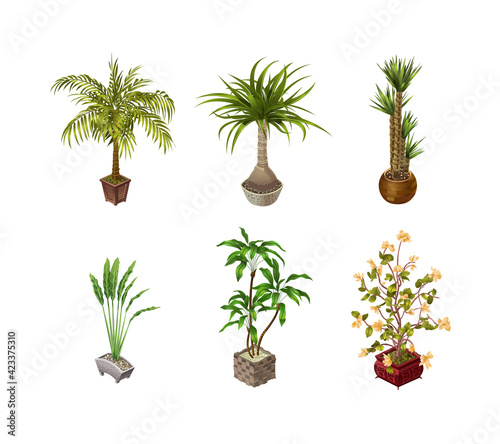 Indoor plants and flower on a light background for interior design in isometric. Vector illustration