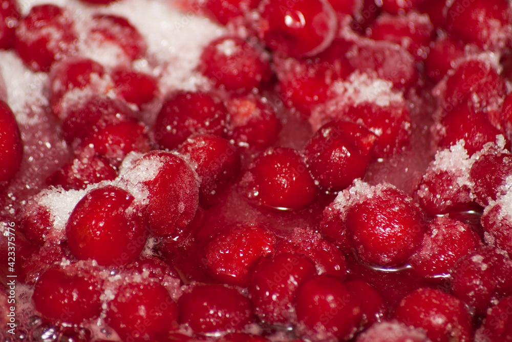 Frozen cherries with sugar. Frozen ripe cherry berries covered with hoarfrost Frozen cherries with sugar. Frozen ripe cherry berries covered with hoarfrost