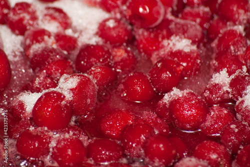 Frozen cherries with sugar. Frozen ripe cherry berries covered with hoarfrost