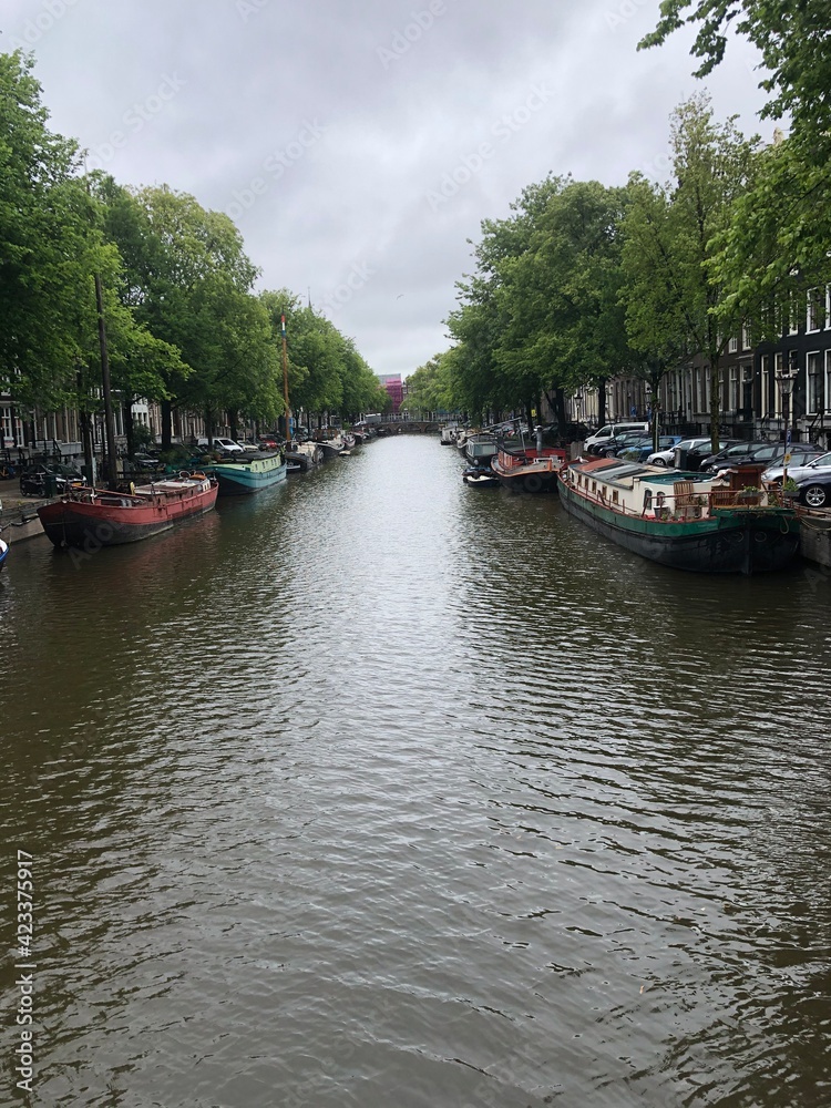 the bustling canals of amsterdam