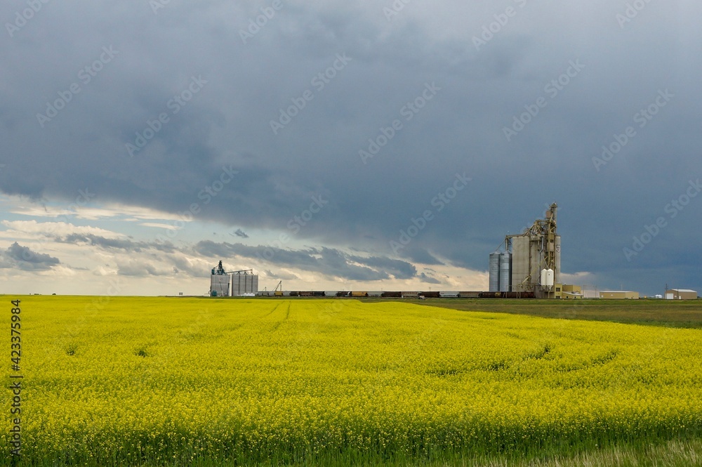 Vulcan Canada - 6 July 2013 - Grain elevators in Alberta Canada