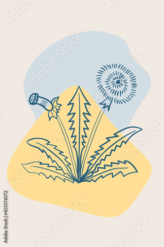 dandelion, abstract, poster, minimal herb ww bb