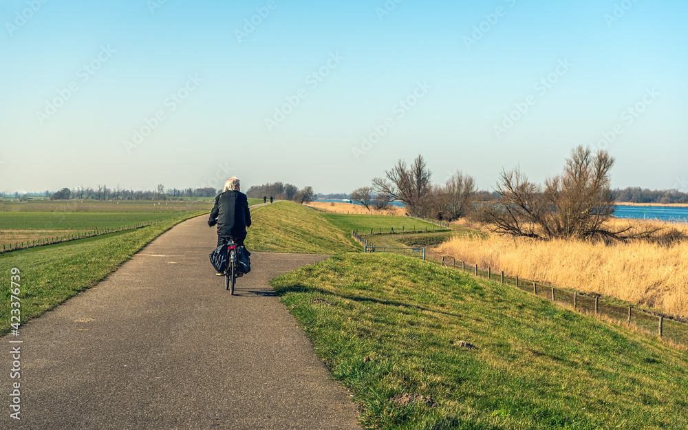 An unidentified elderly man with gray hair is cycling on a winding Dutch dike near the village of Drimmelen in the province of Noord-Brabant. It's a sunny day at the end of the winter season.