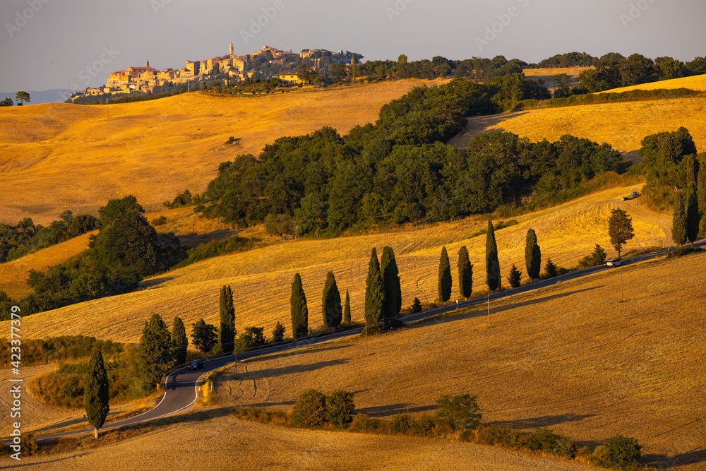 Cipressi di Monticchielo, Typical Tuscan landscape near Montepulciano, Italy