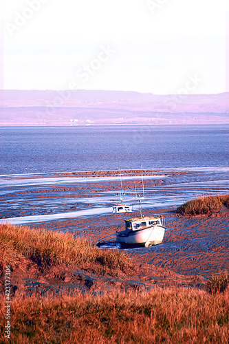 Abandoned boats on the beach. One of the boat got stuck in the mud. Orange grassland by the coastline. In the distance, calm sea and hills which surround the city. 