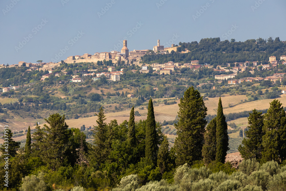Olive garden and Volterra in Tuscany, Italy Olive garden and Volterra in Tuscany, Italy