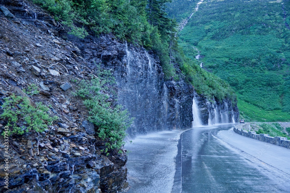 Weeping wall on the Going to Sun road in Glacier National Park in Montana USA Weeping wall on the Going to Sun road in Glacier National Park in Montana USA