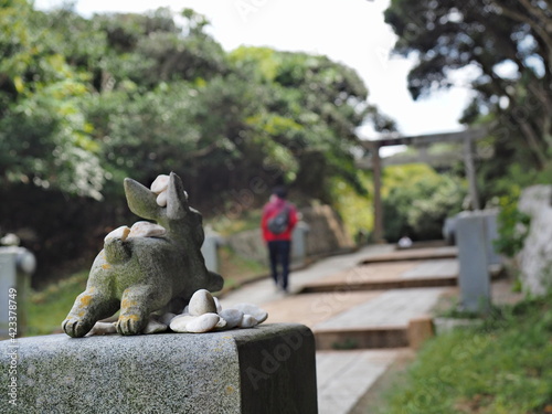 神社の参道と兎と参拝する人 photo