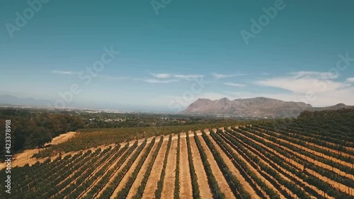 Drone shots of south african vineyards near cape town