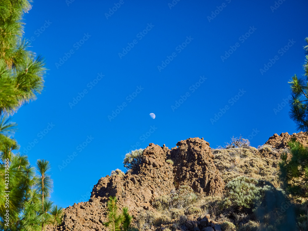 Volcanic landscape of el Teide on tenerife island, Spain. Volcanic landscape of el Teide on tenerife island, Spain.