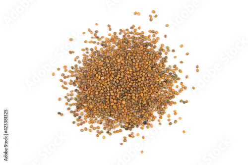 Rocket or arugula seeds isolated on white background.Pile dry vegetable seeds, top view.