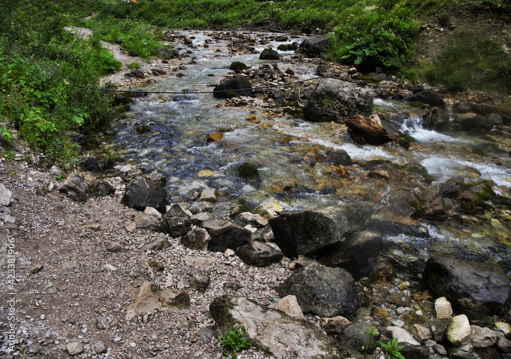 Fototapeta premium mountain river in the forest