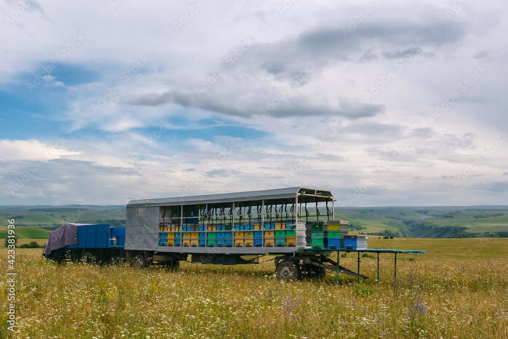 Mobile apiary at the meadow. Karachay-Cherkessia, Caucasus, Russia. Mobile apiary at the meadow. Karachay-Cherkessia, Caucasus, Russia.
