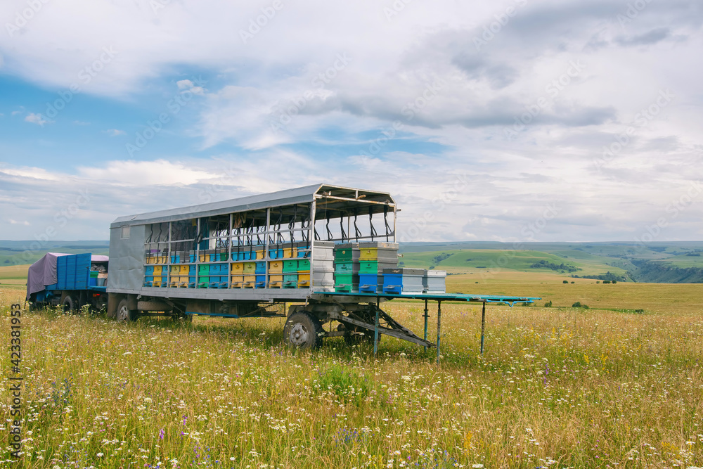 Mobile apiary at the meadow. Karachay-Cherkessia, Caucasus, Russia.