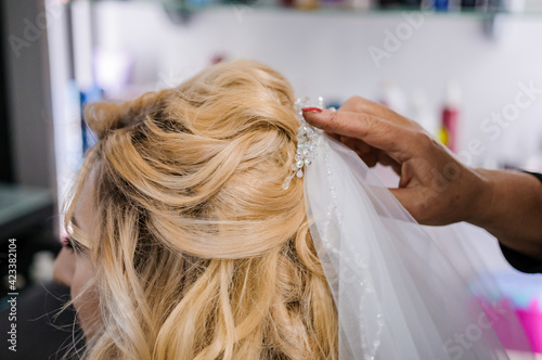 Wedding hair jewelry. Wedding hair wreath. Diadem. Decoration for the bride