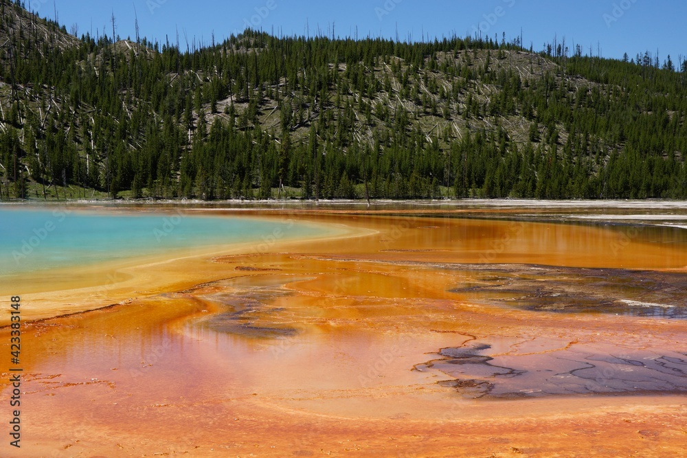 Yellowstone National Park in Wyoming USA Yellowstone National Park in Wyoming USA