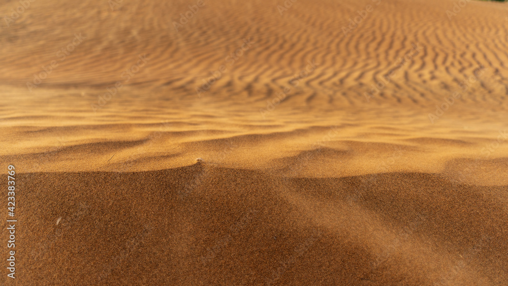 Close-up view of desert sand texture Close-up view of desert sand texture