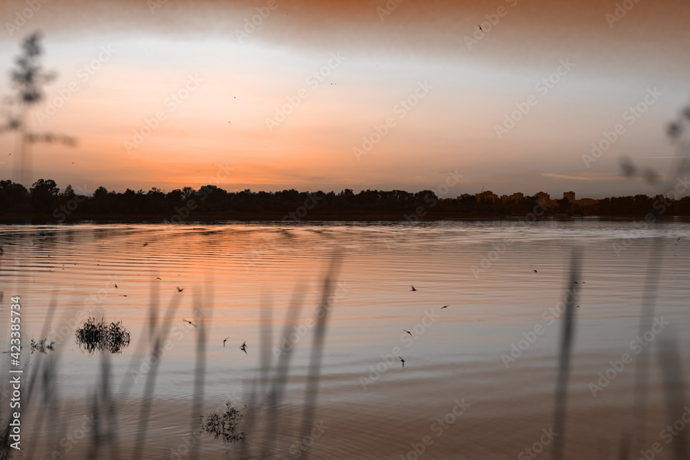 Obraz premium Landscape at sunset. Soft focus.