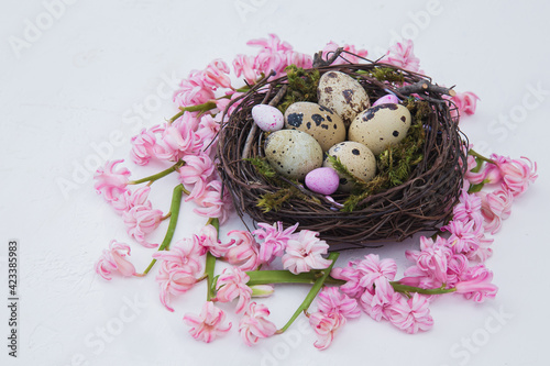 easter nest of beautiful pink hyacinth flowers with a quail eggs on a white backgrorund. Easter composition. Horizontal frame.