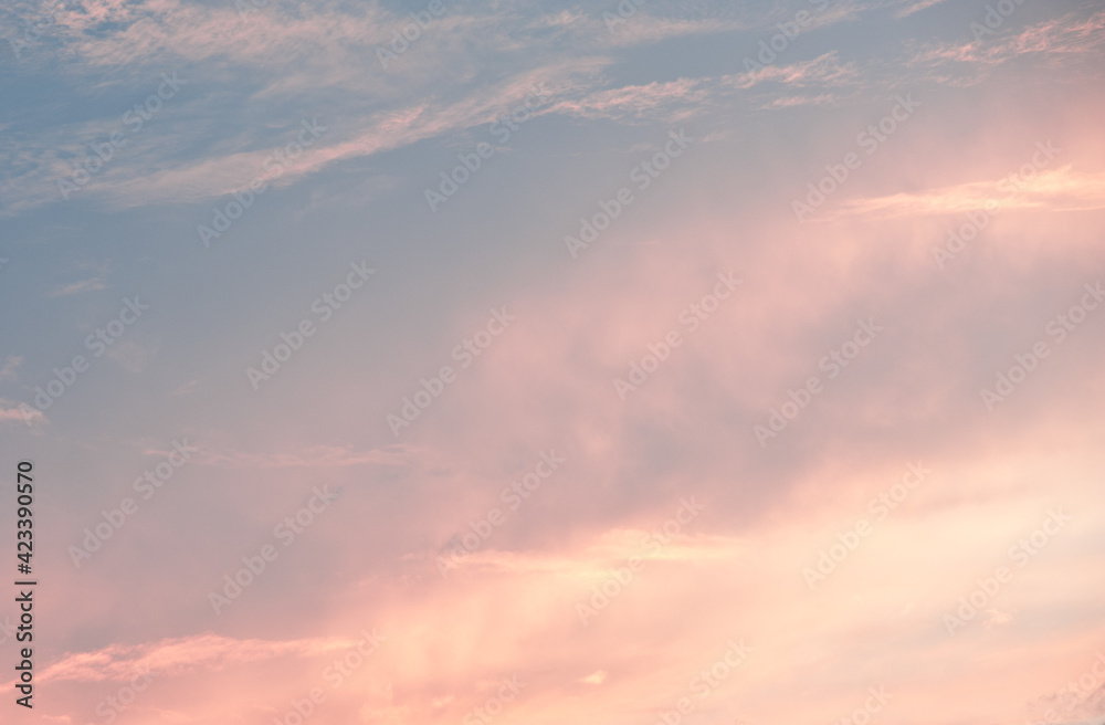 Beautiful summer sunset sky,  pink clouds