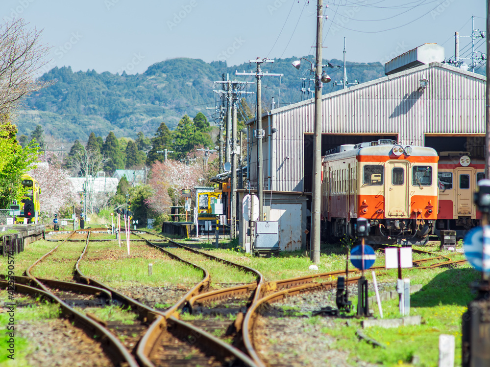 Obraz premium いすみ鉄道 キハ52 大多喜駅