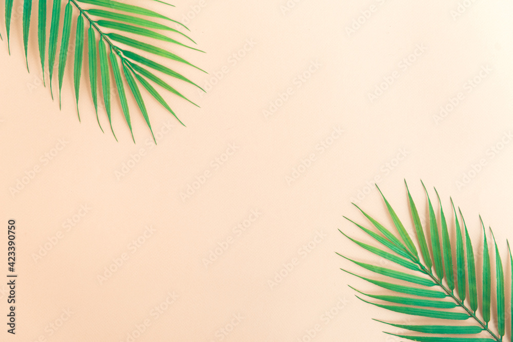 beige color tropic background with palm tree leaves