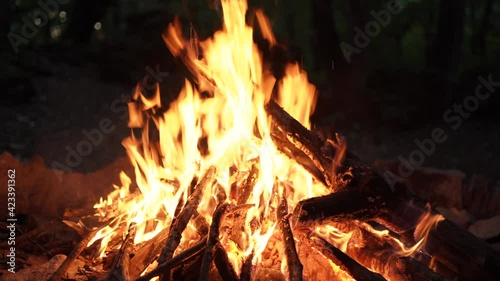 burning wood fire forest summer