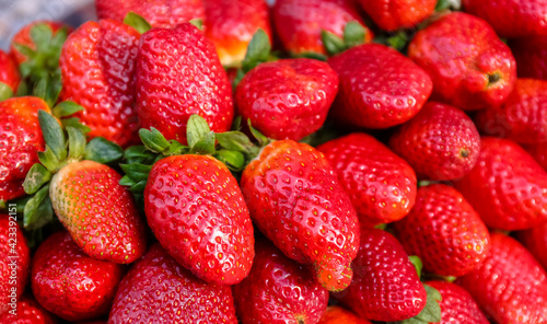 Fresh Red Strawberry fruit on display in local markets.