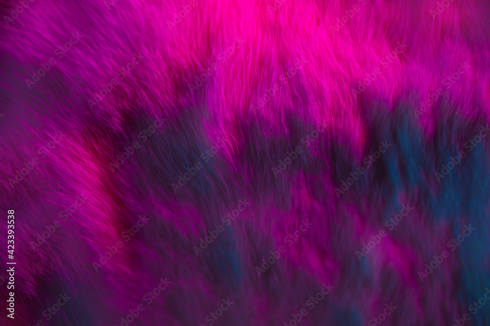 Luxury fur texture. Vibrant purple and pink background of false fure. Rabbit skin Luxury fur texture. Vibrant purple and pink background of false fure. Rabbit skin