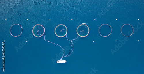 Salmon fish farming in Norway sea. Food industry, traditional craft production, environmental conservation. Aerial view of round mesh for growing and catching fish in arctic water surrounded by fjords