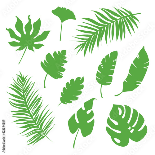 Set of vector tropical green leaves, herbal element. Can be used as isolated sign, symbol, icon. Simple collection of botanical vector flat plant illustration. Exotic leaves from jungle or rainforest.