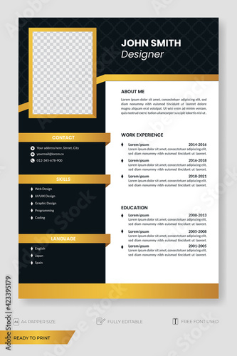 Modern cv template, curriculum vitae background, flyer, business template. Ready to print.