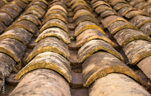 France Mediterranean old tiles roof closeup