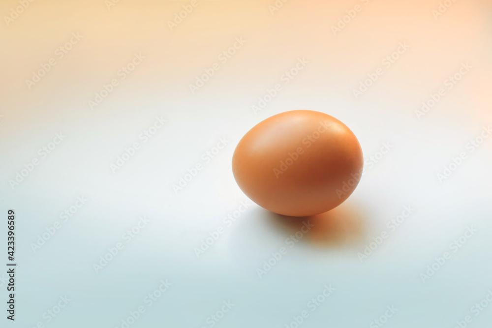One brown egg on tender gradient background from sunny side to the shadow One brown egg on tender gradient background from sunny side to the shadow